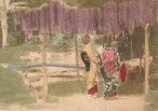 tnmaiko.jpg (4792 bytes)