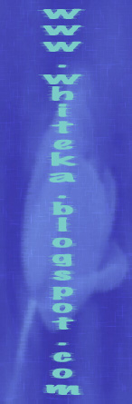 www.whiteka.blogspot.com