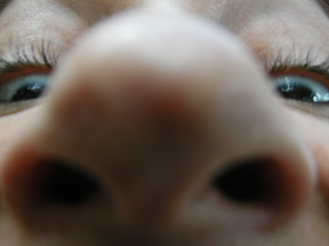 CLICK THE NOSE TO ENTER