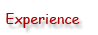 Experience