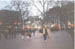 trafalger