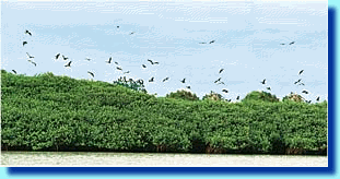 img13.gif