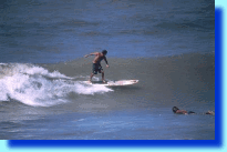 img6.gif