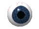 Eye see youuuuuuuu!!