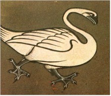Cisne. Imgen de un Bestiario Medieval