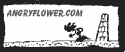 Bob the angry flower