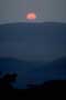 thumbnail of your picture 27