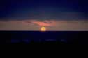 thumbnail of your picture 16