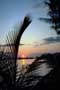 thumbnail of your picture 26