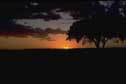 thumbnail of your picture 17