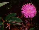 thumbnail of your picture 5