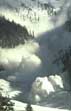 thumbnail of your picture 28