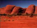 thumbnail of your picture 1
