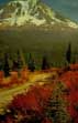 thumbnail of your picture 30