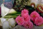 thumbnail of your picture 11