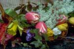 thumbnail of your picture 12