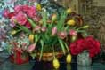 thumbnail of your picture 13