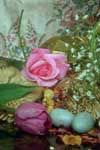 thumbnail of your picture 16