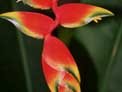 thumbnail of your picture 22