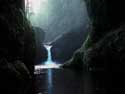 thumbnail of your picture 19