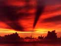 thumbnail of your picture 20