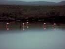 thumbnail of your picture 3