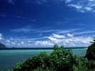 thumbnail of your picture 7
