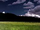 thumbnail of your picture 11