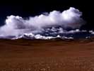 thumbnail of your picture 12