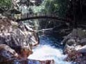 thumbnail of your picture 15