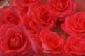 thumbnail of your picture 25