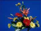 thumbnail of your picture 9