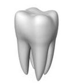 Dental care. Stomatology today.