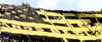 Bandera gigante !!! (  bolso y la tuya ? )