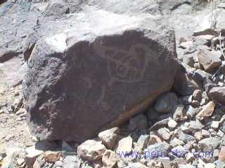 CANTACHECTA09