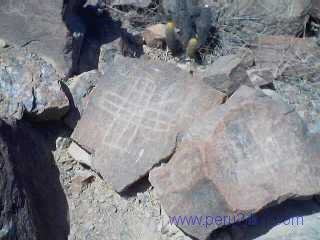 CANTACHECTA13