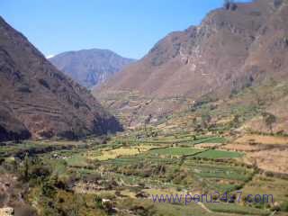cantacollofarm