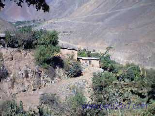 cantalicahuasifarm