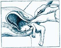 prolife.jpg (10933 bytes)