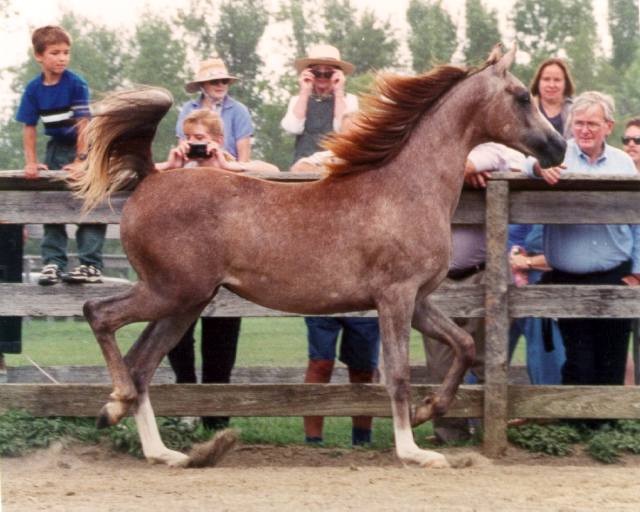  Rideaufield Farm