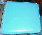 8.	Patio chair cushions (4) - aqua. Are hardy enough to be used as boat cushions.