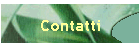 Contatti