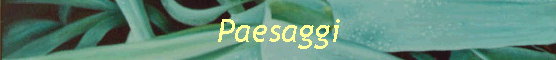 Paesaggi