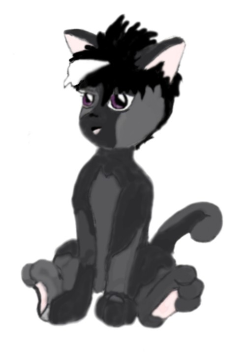 Rath kitty, I found him in an ally behind Universal Studios Florida