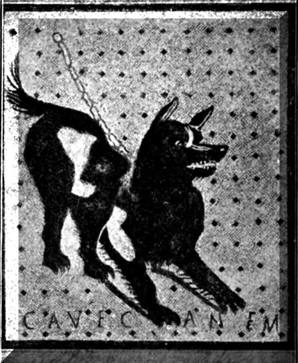 CaveCanem.jpg (93406 bytes)