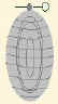grenade.jpg (2858 bytes)