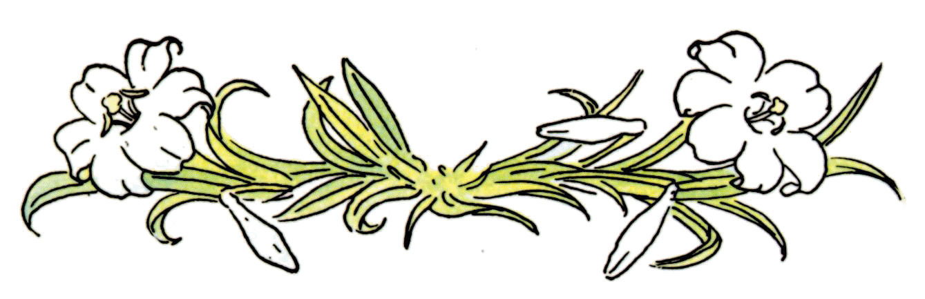 lilydivider2.jpg (70870 bytes)