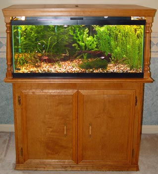 40 gallon breeder stand