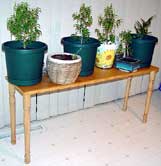 wood table for bonsai