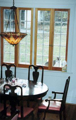 Ed likes to perch on the window sill outside the dining area.